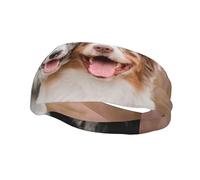 Pastores australianos, pareja de perros, cintas para el cabello para hombres y mujeres, diadema para correr, diadema que absorbe el sudor, gimnasio