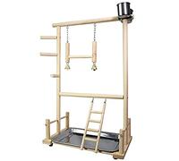 Pasyauer Parque infantil para loros, madera natural, perca, gimnasio, juego de , escaleras con copas y juguetes