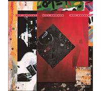 Pat Metheny - Question and Answer [VINYL]