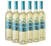 Pata Negra Sauvignon Blanc Vino Blanco D.O Rueda - Caja de 6 Botellas x 750 ml