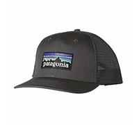 Patagonia P-6 Logo Trucker TU Gris/plata
