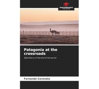 Patagonia at the crossroads
