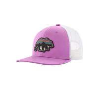 Patagonia - Marcas - K's Trucker Hat Back for Good Bear: Brisk Purple - Púrpura Púrpura