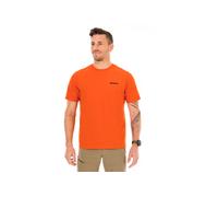 Patagonia P-6 Logo Responsibili-Tee L Naranja