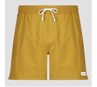 Patagonia Short M'S HOME WATERS VOLLEY SHORTS - 16 IN. in Amarillo EU M