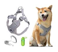 Patas Lague Arnés para perro con correa ajustable, suave, acolchado, reflectante, para perros pequeños y medianos con bolsas para excrementos y dispensador, sólido y sin masticar, gris, talla M