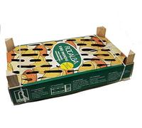 Patata de siembra Baraka - Bandeja de 100 unidades.