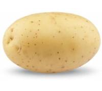 Patata de siembra pregerminada variedad amarilla bandeja de 100 unidades. Calibre grande. Piel amarilla.