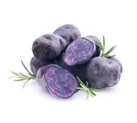 Patata de siembra Vitelotte (morada) - Bandeja de 100 unidades.