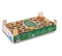 Patata madre clase Agria - Caja de 100 patatas calibro:28/35