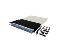 Patchbox ONE 30 RU Cat.6a - Panel de conexión de 24 puertos con sistema de gestión de cables retráctil para racks de 19 pulgadas, incluye cables planos y casetes de 10 GB, fácil configuración de red y