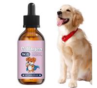 Patifirst Suplemento Nutricional Canino,60 mililitros líquido para el Soporte a la Salud de Piel y Pelaje | Suplemento En Gotas | para hogar, Viajes, Rutina Diaria, Toma matutina y Cena Nocturna