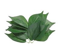 PATIKIL 11x3.1 Hojas Verdes Artificiales, 30 Uds Hojas Verdes Granel Hojas Falsas Hortensia Falsas Hojas para Boda Ramos Coronas Decoración