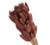 PATIKIL 15.7 Pulgadas Colas De Conejo Flores Secas 70pcs Cola De Conejo Natural Peluda Falsa Seca para Decoración Boho Hogar Jarrón Bodas Marrón Rojo