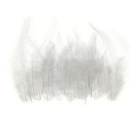 PATIKIL 3-6" Sillín Pluma Gallo Pluma 50uds Granel Natural Plumas Esponjosas Artesanía Plumas para Sueños Atrapasueños Pendientes Colgante Blanco