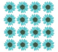 PATIKIL 48 Pcs Flores Secas Prensadas Naturales Margarita para Manualidades de Arte Decoración del Hogar Decoración de Uñas Azul Lago