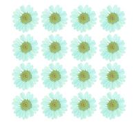 PATIKIL 48 Pcs Flores Secas Prensadas Naturales Margarita para Manualidades de Arte Decoración del Hogar Decoración de Uñas Azul Menta