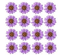 PATIKIL 48 Piezas de Flores Secas Prensadas Naturales Margarita para Manualidades de Arte Decoración del Hogar Decoración de Uñas Morado Profundo