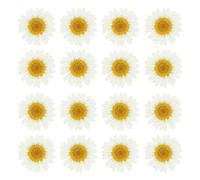PATIKIL 48 Piezas de Flores Secas Prensadas Naturales Margarita para Manualidades de Arte DIY Decoración del Hogar Decoración de Uñas Blanco