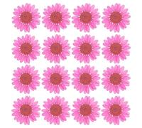 PATIKIL 48 Piezas de Flores Secas Prensadas Naturales Margarita para Manualidades de Arte DIY Decoración del Hogar Decoración de Uñas Rojo Rosa