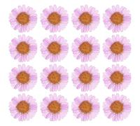 PATIKIL 48 Piezas de Flores Secas Prensadas Naturales Margarita para Manualidades de Arte DIY Decoración del Hogar Decoración de Uñas Morado Lavanda