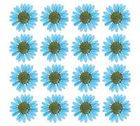 PATIKIL 48 Piezas de Flores Secas Prensadas Naturales Margarita para Manualidades de Arte DIY Decoración del Hogar Decoración de Uñas Azul Zafiro