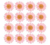 PATIKIL 48 Piezas de Flores Secas Prensadas Naturales Margarita para Manualidades de Arte DIY Decoración del Hogar Decoración de Uñas Rosa