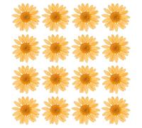 PATIKIL 48 Piezas de Flores Secas Prensadas Naturales Margarita para Manualidades de Arte DIY Decoración del Hogar Decoración de Uñas Naranja
