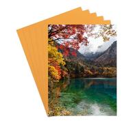 PATIKIL 6 Pcs Blanks Sublimación Aluminio, 7.9x5.9 Blank Sublimación Metálico para Impresiones Personalizadas en Metal, Cuadros para Fotos, Oro EspejoHe:1. Todas las etiquetas
