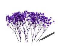 PATIKIL Kit de Flores Secas Mini Gypsophila, 30Pcs 4 Pulgadas Azul Morado Ramos Florales Naturales Prensados con Pinzas para Manualidades DIY Resina Decoración de Florales Bouquets