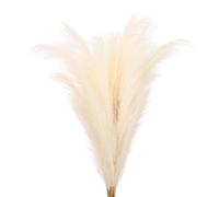 PATIKIL Pampas Decor De 37.8 Pulgadas De Altura 7 Piezas Grandes De Pampas Artificial A Granel Hierba Falsa Larga Y Esponjosa Seca para Decoración Boho De Hogar Jarrón Boda Pared Beige