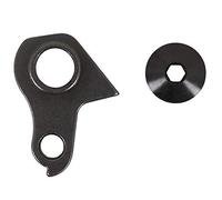 Patilla Puntera de Cambio Bicicleta Aire Carbon SL