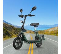Patinete eléctrico con aprobación de carretera en la UE (ECE), patinete eléctrico de 12 pulgadas para adultos, batería de 13 Ah, carga de 120 kg, frenos de disco para tráfico urbano GREEN- WITH EEC EU