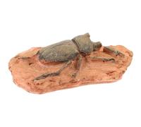 PATKAW Colección de Fósiles Decorativos de Insectos Paleontológicos para Enseñanza y Decoración de Paisaje Diseño Portátil y Seguro