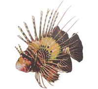 PATKAW Decoración de Pared de Peces de Hierro Forjado Diseño Encantador y Ligero para Decoración del Hogar y Jardín en Interiores y Exteriores