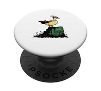 Pato Caballero heroico en Capa y Casco emplumado ilustración PopSockets PopGrip Adhesivo