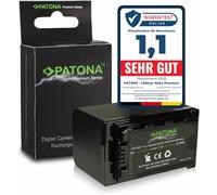 PATONA Premium Bateria compatible con Panasonic VW-VBD58, VW-VBD58E-K