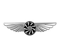 Patonde Difusor ambientador para coche, Difusor de aromaterapia para coche | Ambientadores para Coche Fragancia de Larga Duración | Perfume sólido, adornos creativos de Águila en vuelo, decoración