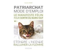 Patriarchat mode d'emploi: Eteindre l'incendie, rallumer la flemme