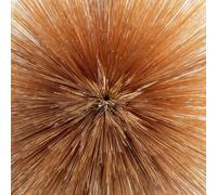 Patricia Brennan Of the Near and Far (CD) (Importación USA)