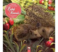 Patricia MacCarthy's Beautiful Babies - Wunderschöne Tierbabys 2026 - Original Flame Tree Publishing-Kalender [Kalender]
