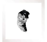 Patricia - Several Shades Of The Same Color [Vinilo]