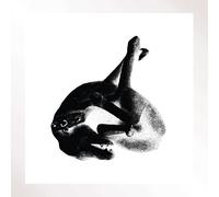 Patricia - Several Shades Of The Same Color [Vinilo]