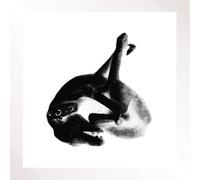 Patricia Several Shades of the Same Colour (Vinyl) 12" Album