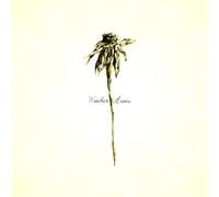 Patrick Watson - WOODEN ARMS [Vinilo]
