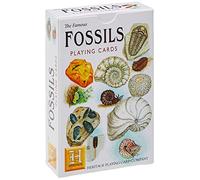 Patrimonio Jugando A Las Cartas - Fósiles Jugando A Las Cartas