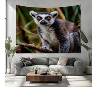 PatróN Animal de LéMur de Cola Anillada Tapiz Decorativo Multifuncional de Salón, Esterilla de Playa Manta de Picnic MarróN Tapiz Decorativo Pared de Tela Cepillada 150x100 cm