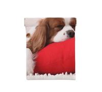 Patrón Cavalier King Charles Spaniel, Squeeze Top Wallet Bolsa de Almacenamiento para Mujer Monedero pequeño Bolsa de Cambio
