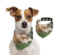 Patrón de Chihuahua Jugando,Pañuelos de algodón para Perros, Bufandas Ajustables para Mascotas,M