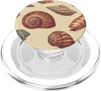 Patrón de conchas marinas vintage - Diseño de playa costera de verano PopSockets PopGrip para MagSafe